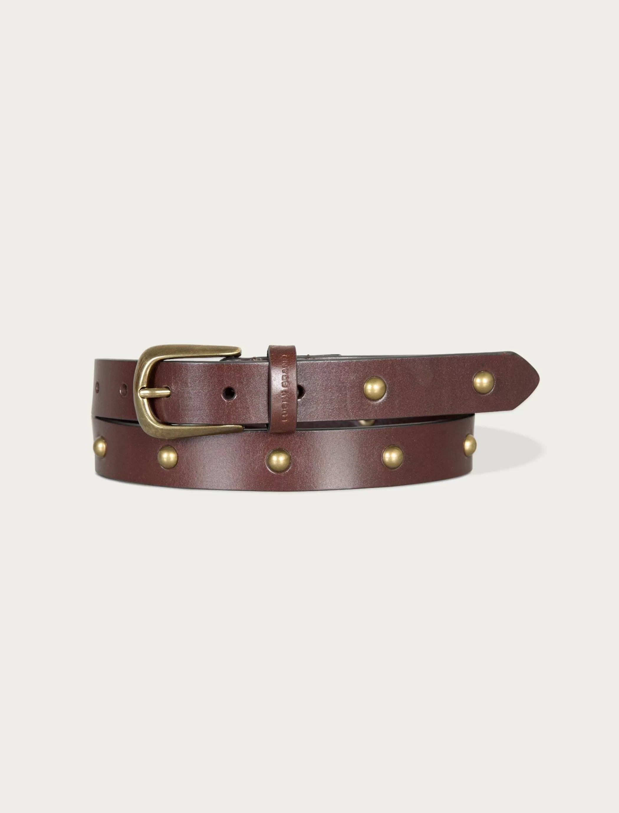 Lucky Brand Belts*dome studded leather belt dark brown