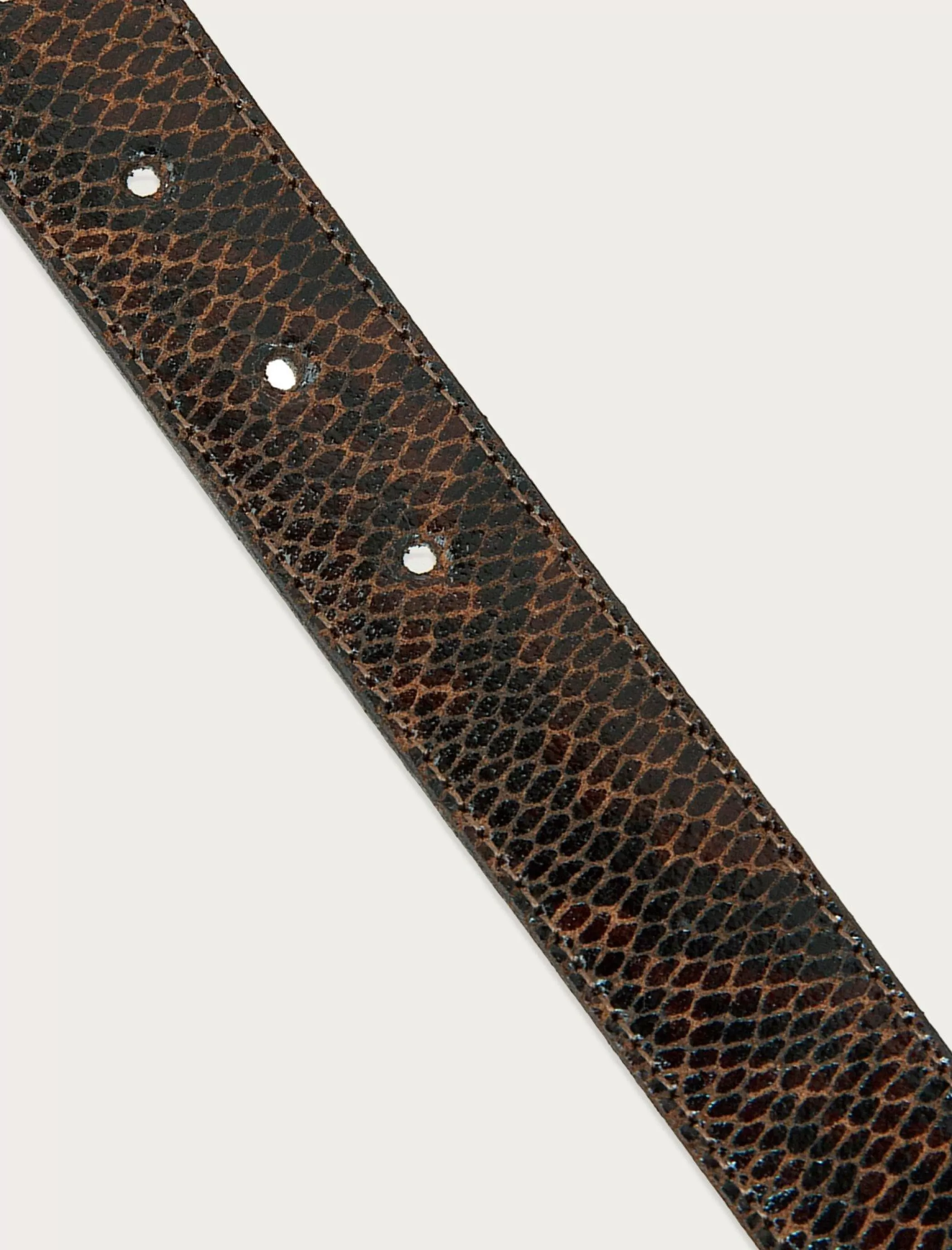 Lucky Brand Belts*double ring snakeskin belt dark brown