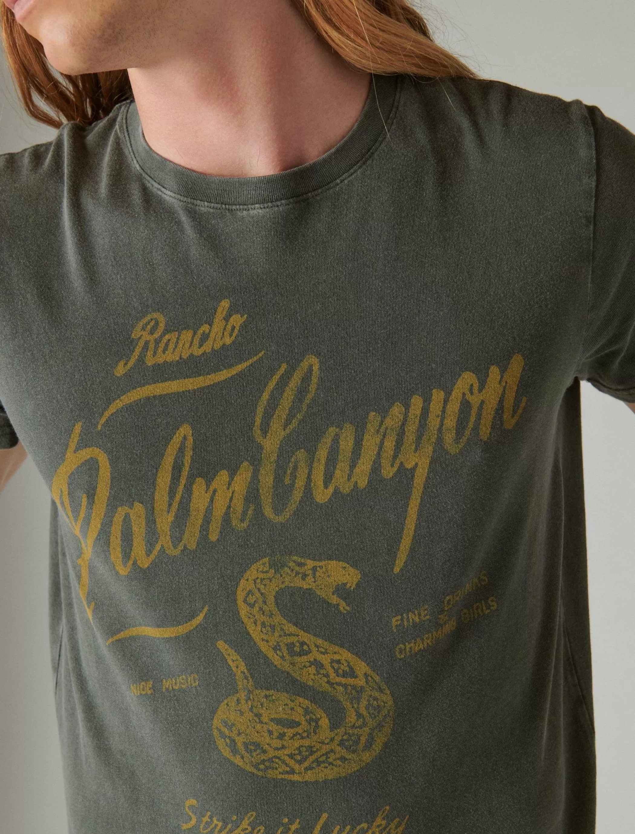 Lucky Brand Graphic Tees*palm canyon tee raven